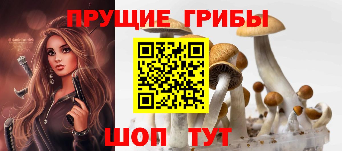 Псилоцибиновые грибы GOLDEN TEACHER  Галлюциногенные грибы прущие грибы  Вход с VPN  Воткинск 